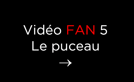 Tiffany Leiddi – Gourmandise N° 5 Le Puceau